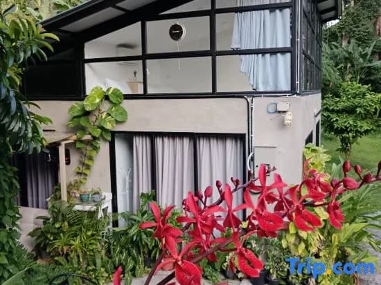 Penang Balik Pulau Daze in Nature Guest House 123 - photo 3
