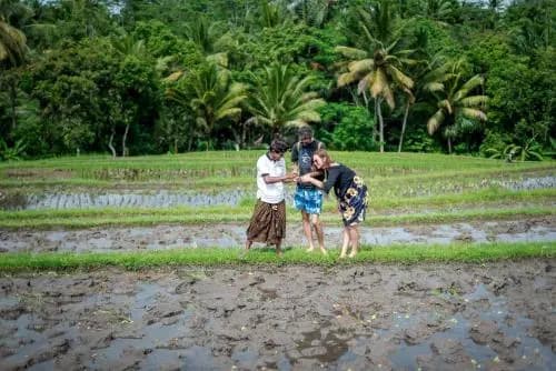 The Desa Ubud Villa - photo 18