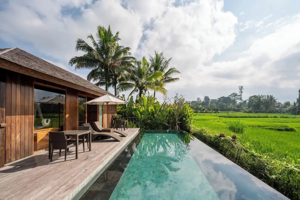 Kappa Senses Ubud Hotel - photo 8