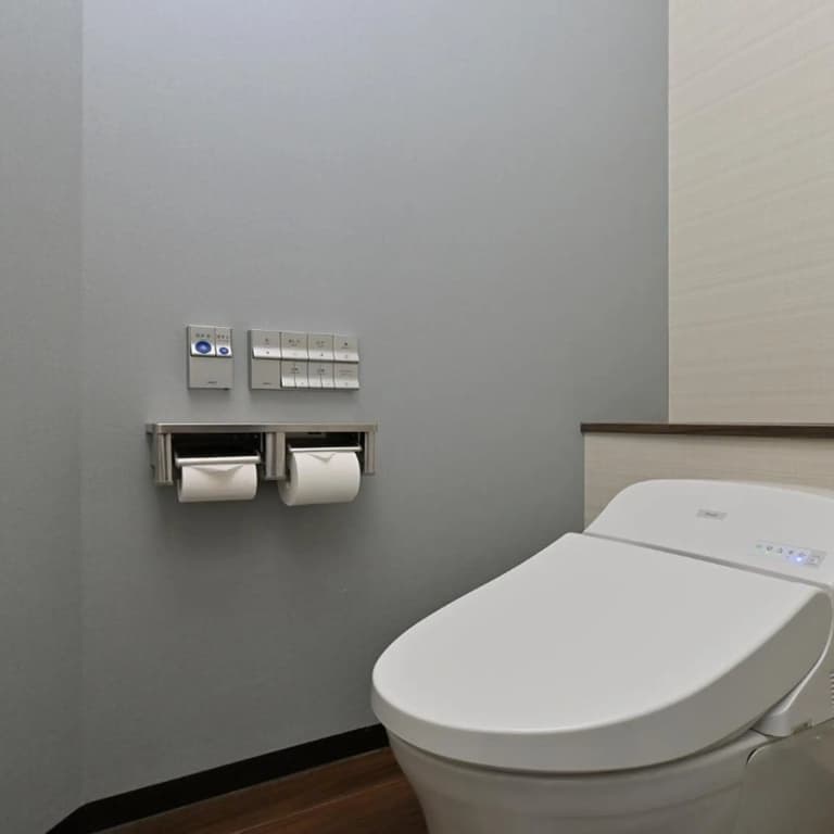 Quintessa Hotel Osaka Bay - photo 33