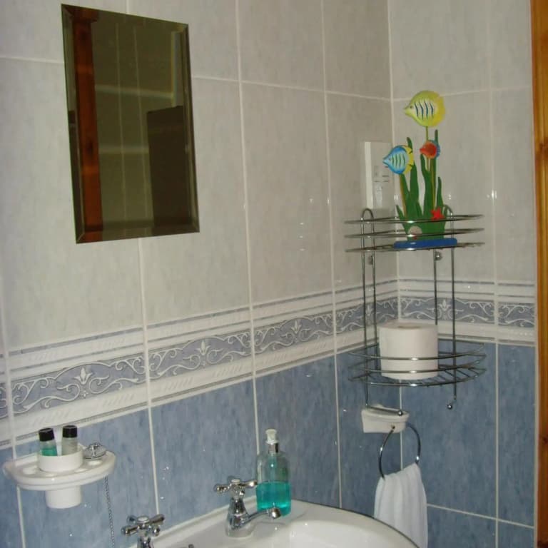 Twin Lions Hotel - photo 47