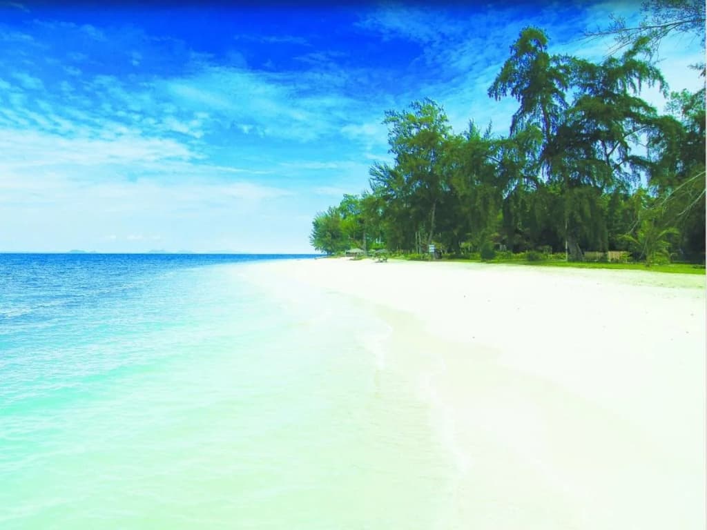 Aseania Resort Pulau Besar - photo 8
