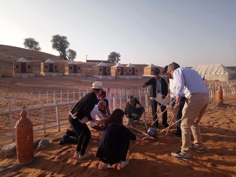 Bedouin Oasis Camp - photo 20