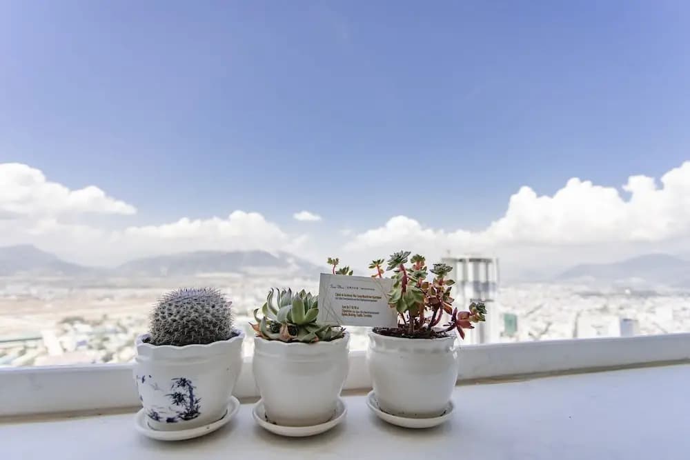 Beach Front Apartment - photo 24