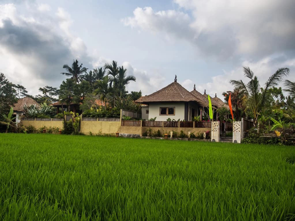 Ubud Luwih Villa - photo 14