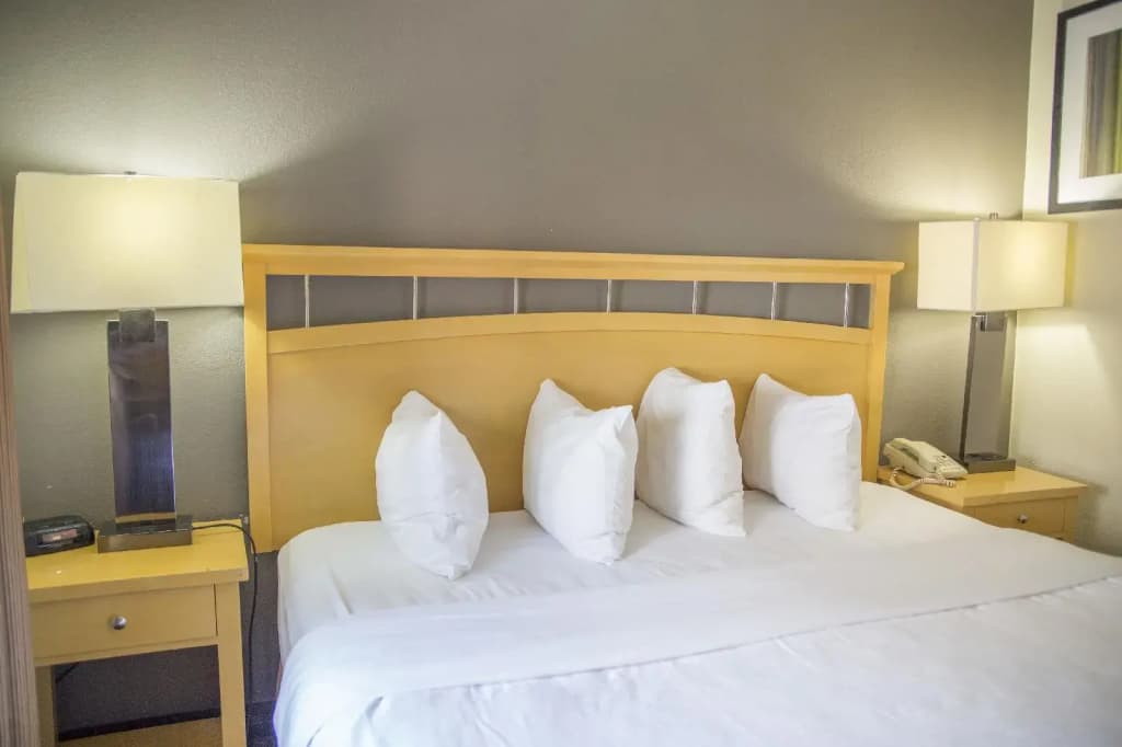 Hudson River Hotel - photo 20