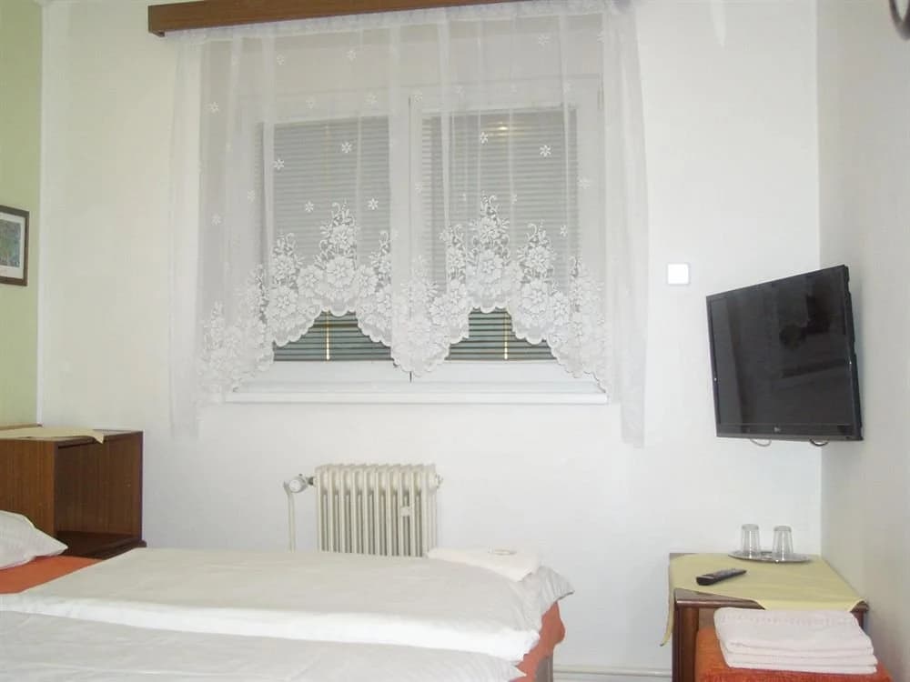 Pension Sparta - photo 5