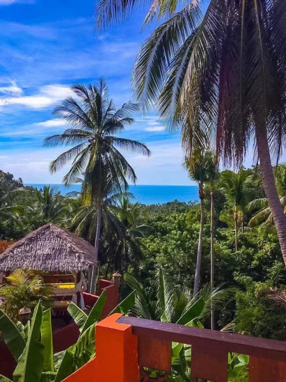 Samui Green Palm Resort - photo 16