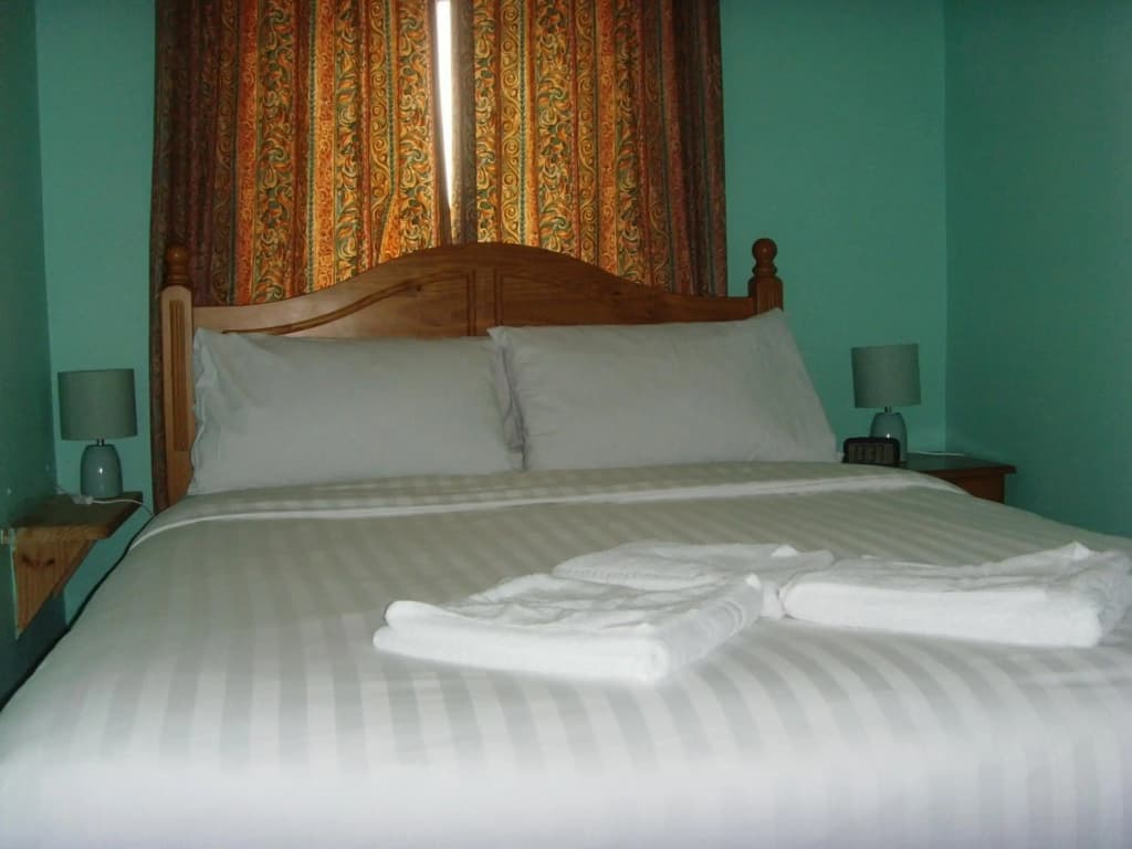 Twin Lions Hotel - photo 14