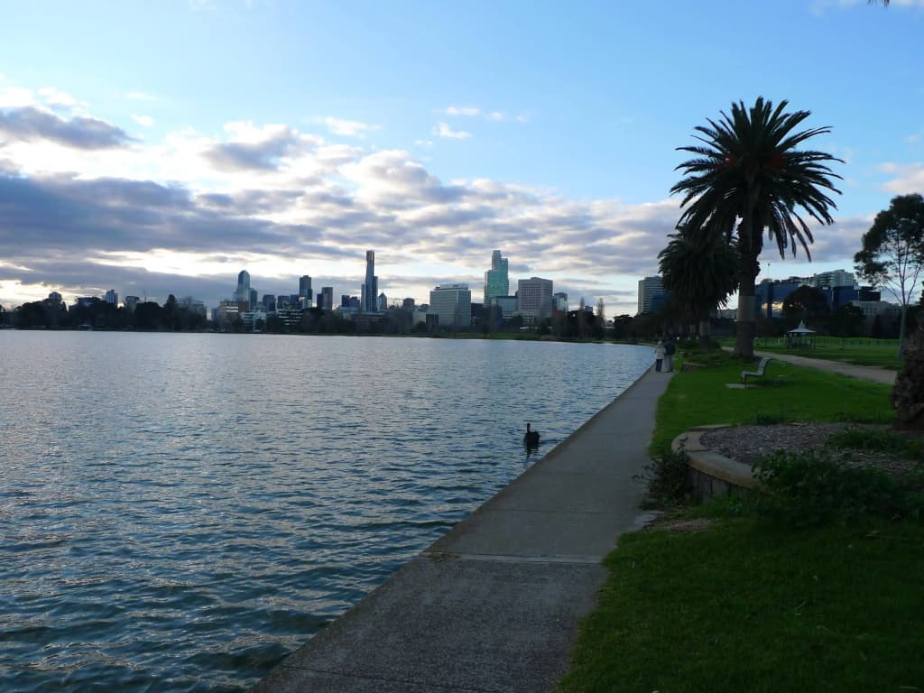 Albert Park Apartments - photo 14