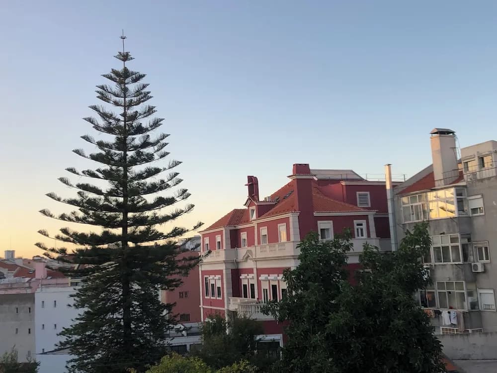 Palácio do Visconde - photo 16