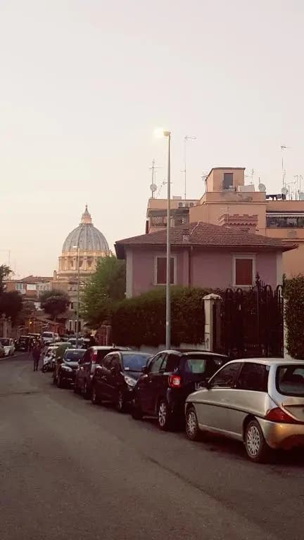 Un bellissimo nido a S.Pietro - photo 8
