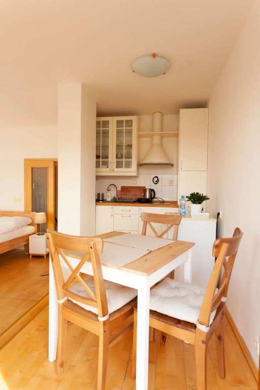 Vitkov Park Apartment - photo 5