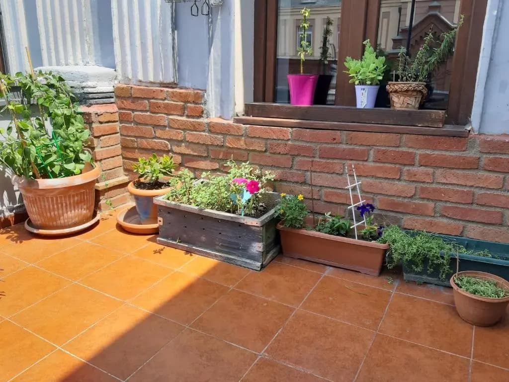 Salve veranda - photo 5