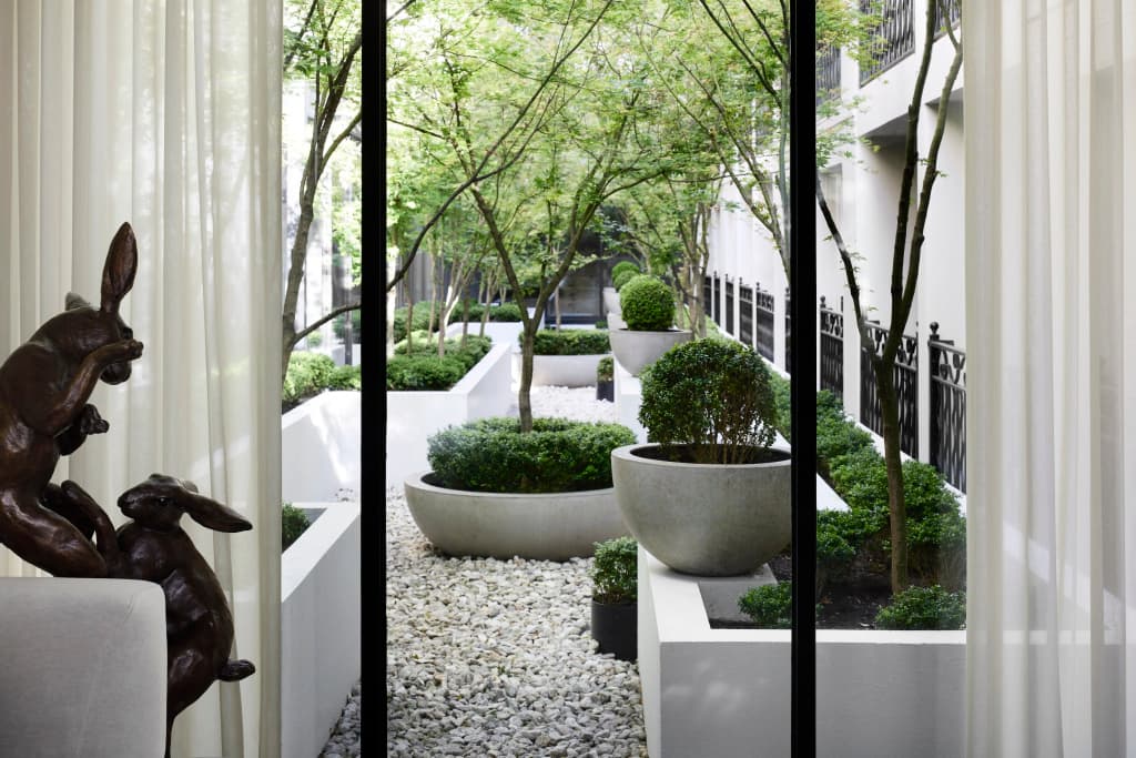 The Lyall - photo 20