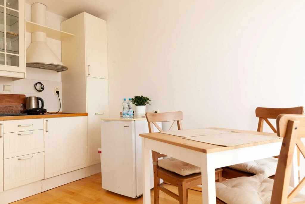 Vitkov Park Apartment - photo 7