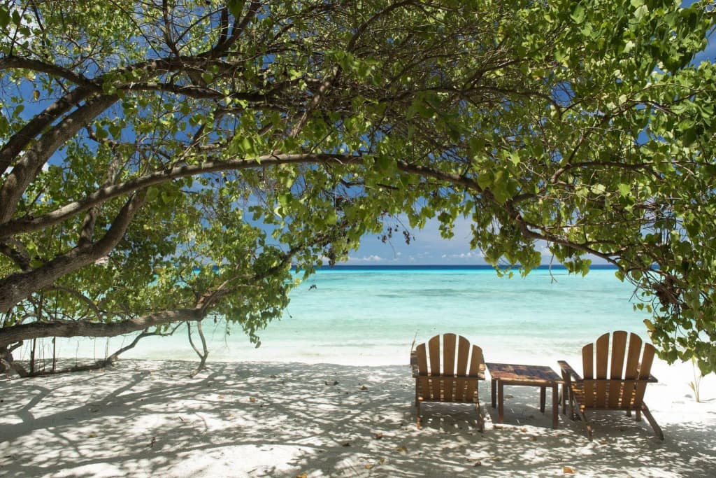 Summer Island Maldives Hotel - photo 31