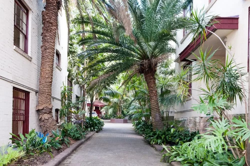 Beautiful Lush and Green Oasis Studio Apartment - photo 9