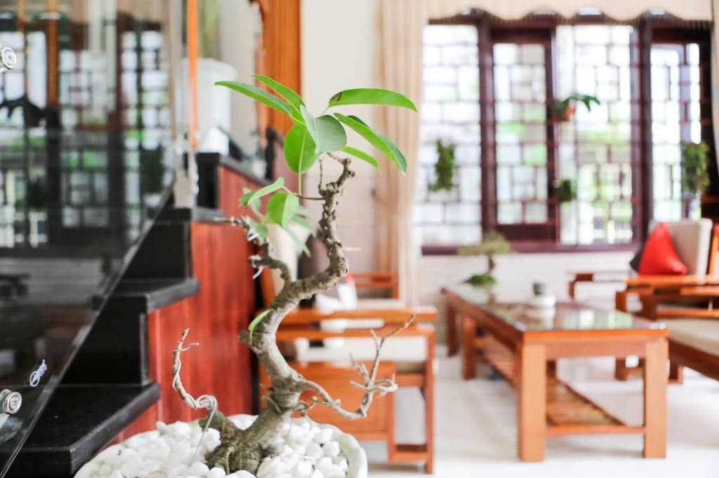 Viet Nhat Homestay - photo 11