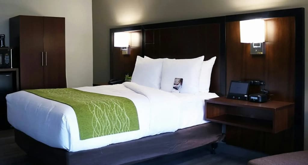 The Delaney Hotel - photo 37