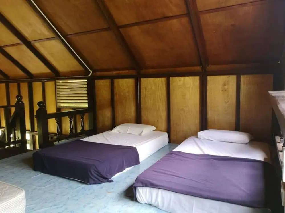 D'Coconut Island Resort - photo 5