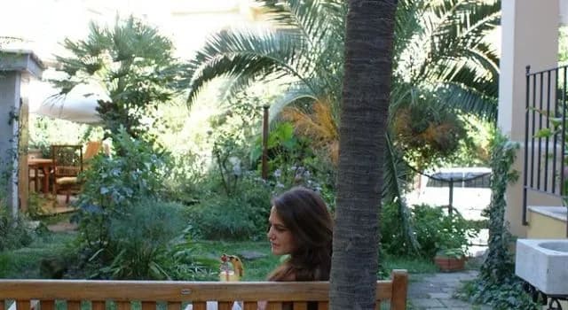 Palm Gallery Hotel - photo 24