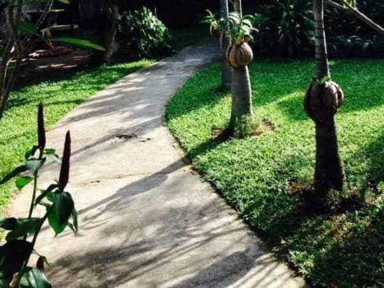 Plai Leam Buri Resort - photo 3
