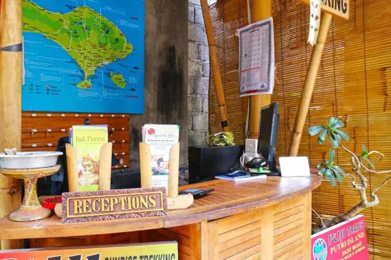 New Ubud Hostel - photo 8