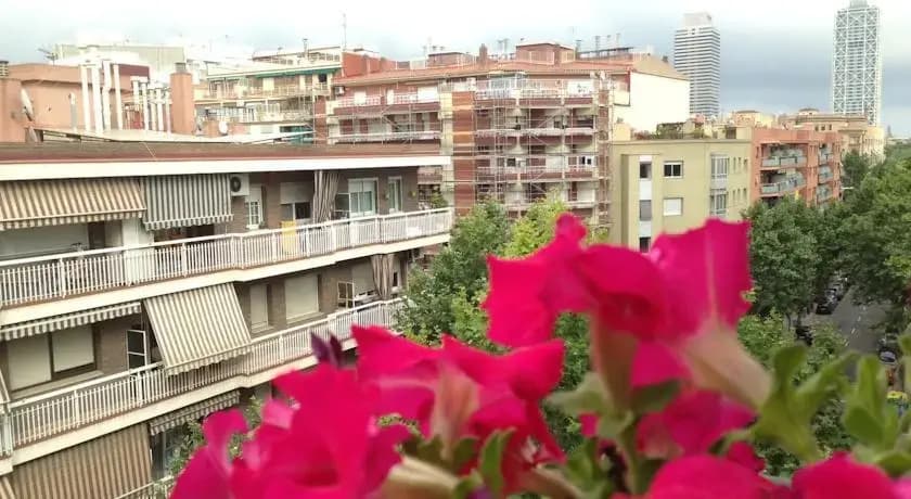 Freemove Sardenya - photo 5