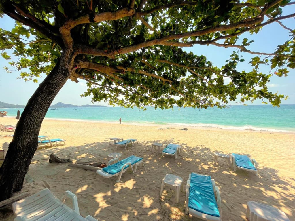 Samui Sense Beach Resort - photo 25