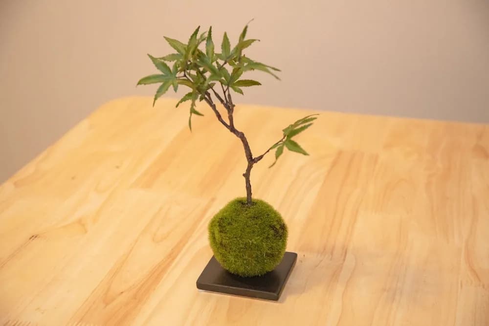 Togoshiginza Residence 201 - photo 48