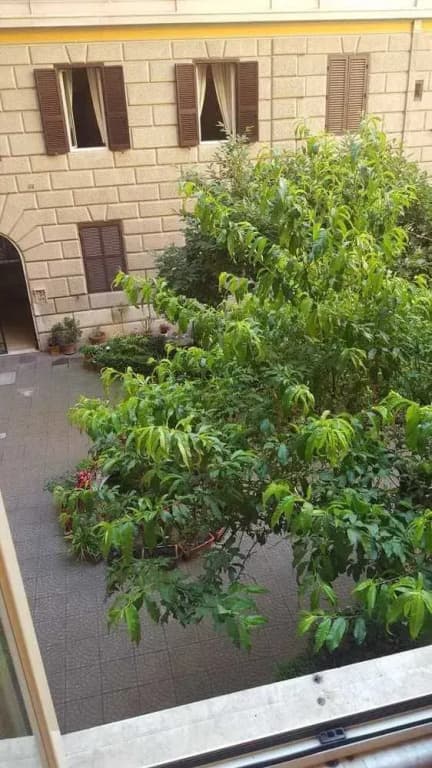 Guesthouse Mersede - photo 1