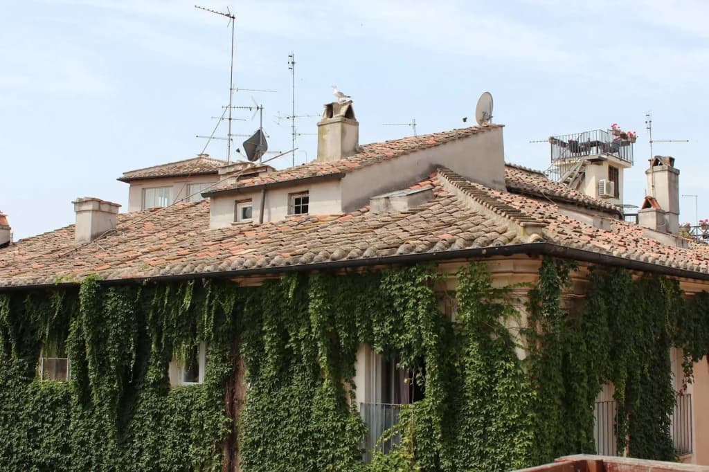 Coronari Palace - photo 1