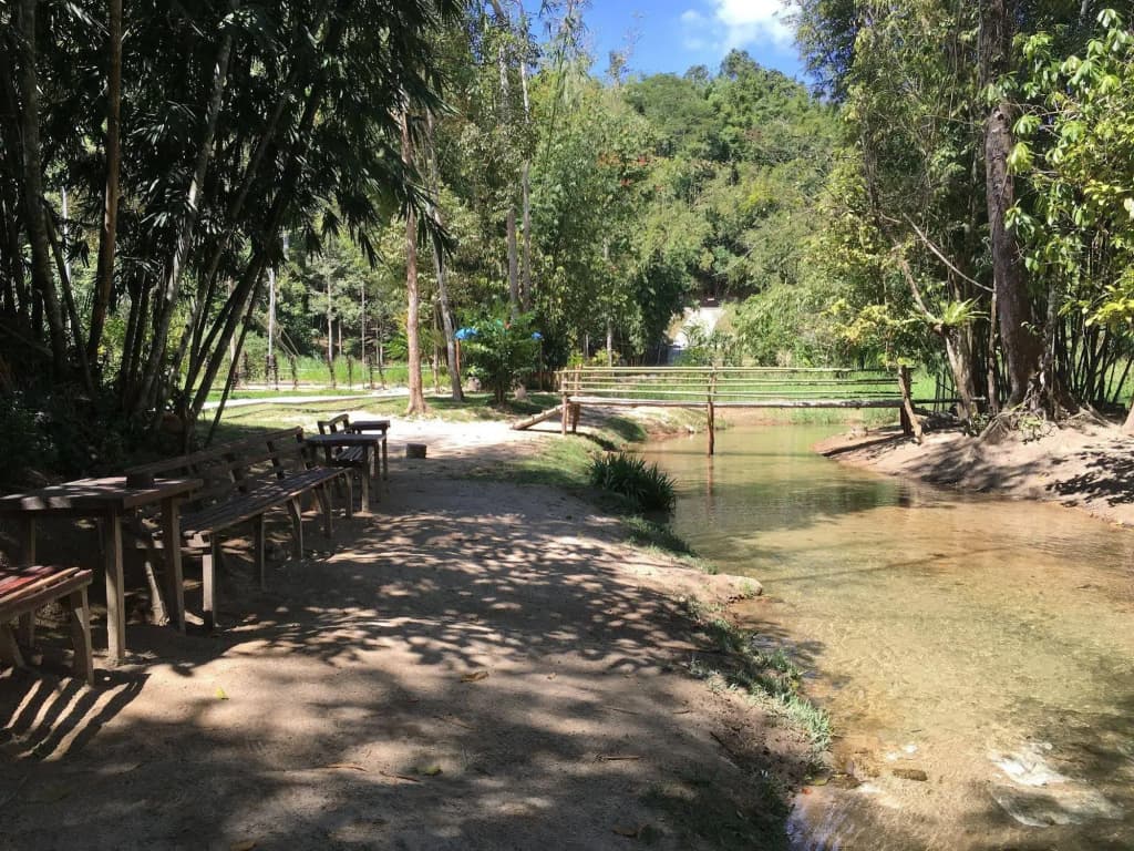 Rain Forest Inn - photo 8