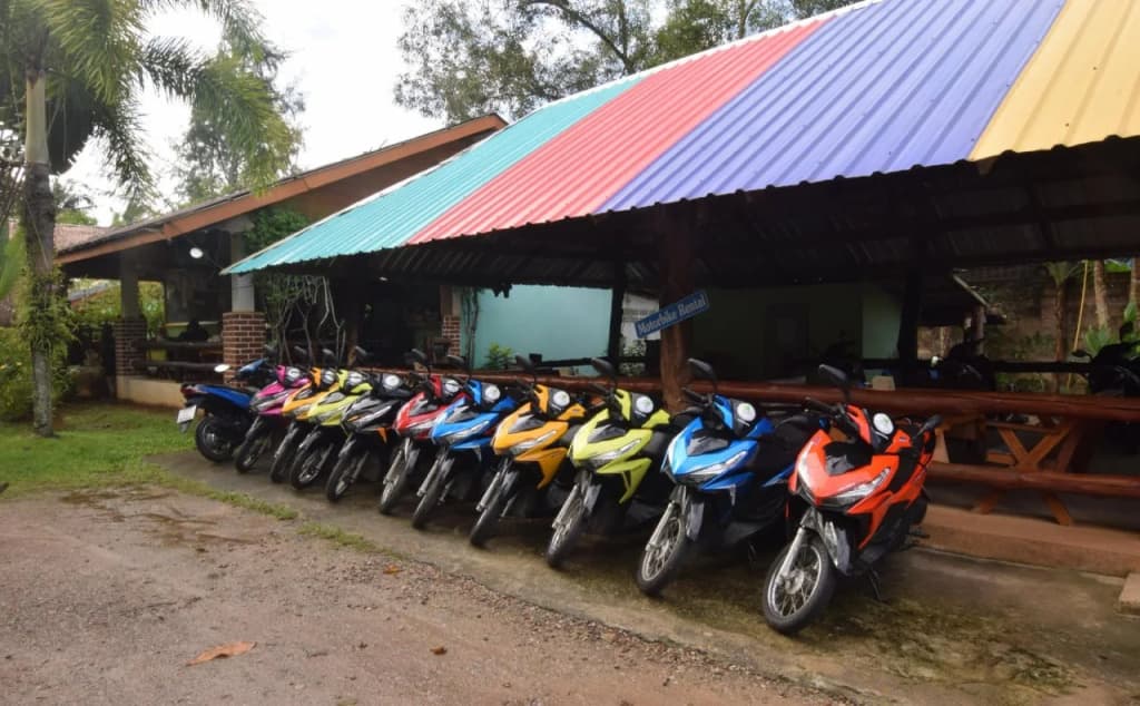 Mild Garden View Resort - photo 15