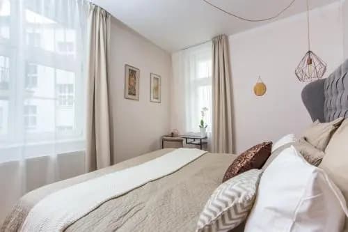 Luxury Apartment Maiselova - photo 4