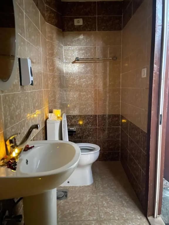 Abdeen Palace Hotel - photo 21