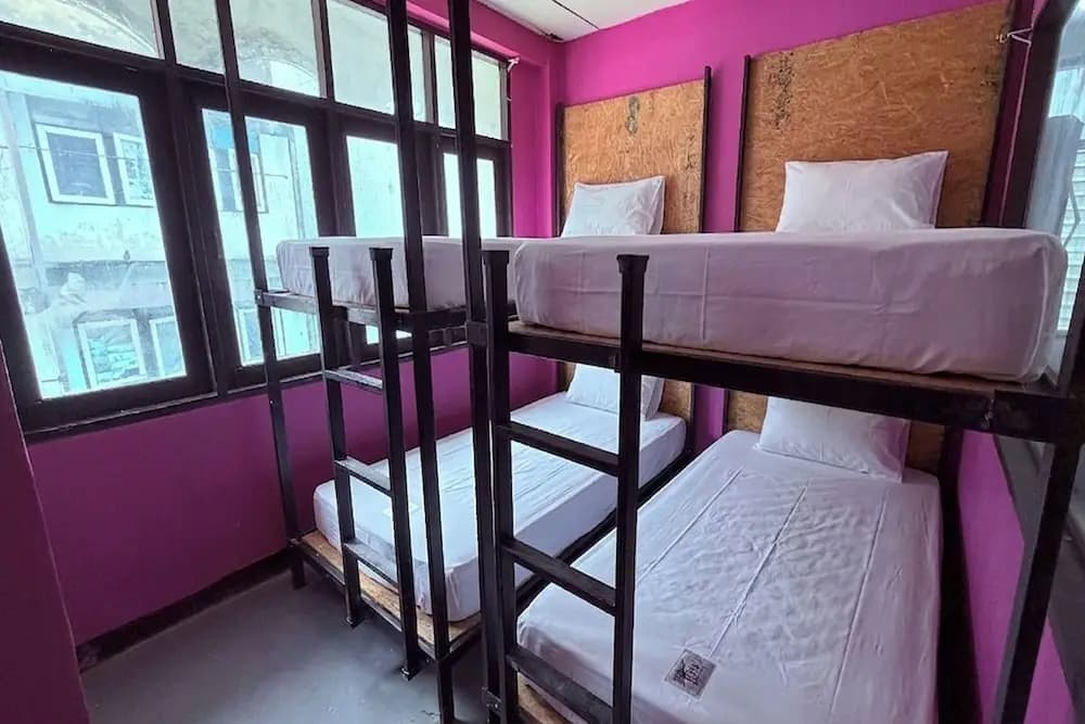 Pink Kraken Hostel - photo 3
