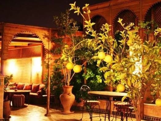 Riad Zouina - photo 25