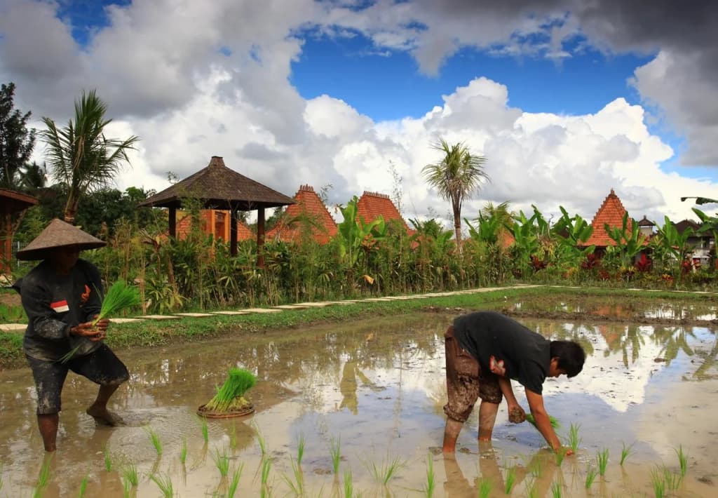 Ubud Heaven Penestanan - photo 20