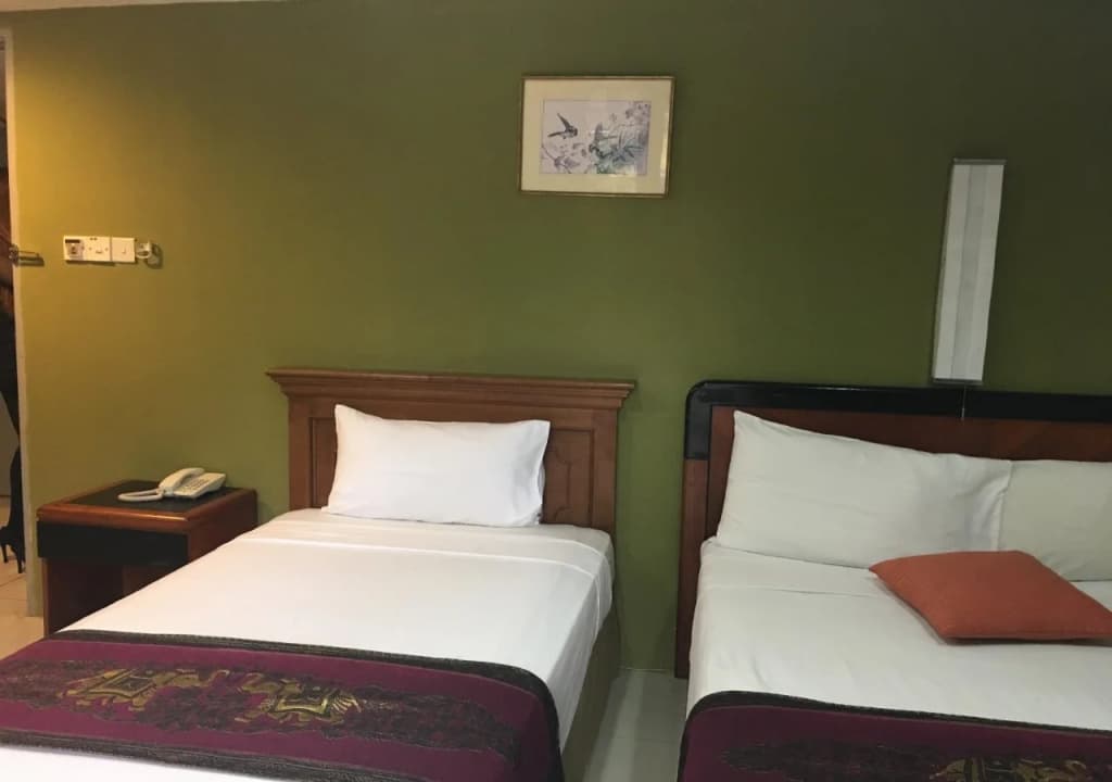 Hotel Nana's Inn - photo 4