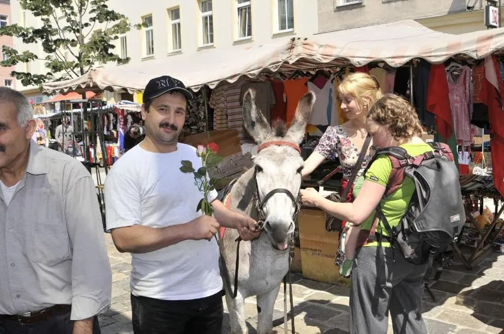 Yppartment - photo 5