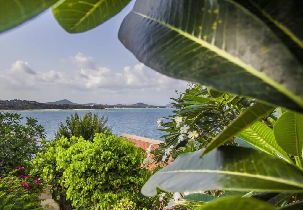 Boujis Boutique Resort - photo 22