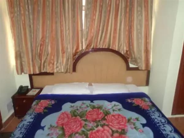 Harjas Palace - photo 8