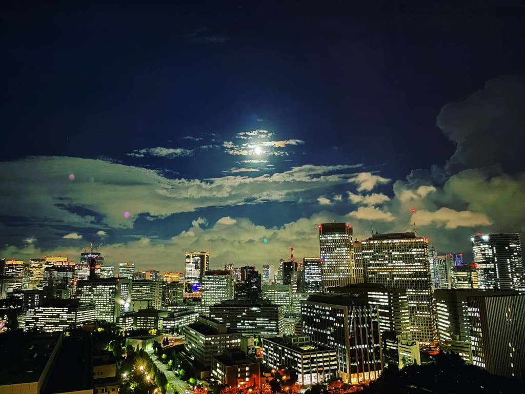 The Capitol Hotel Tokyu - photo 30