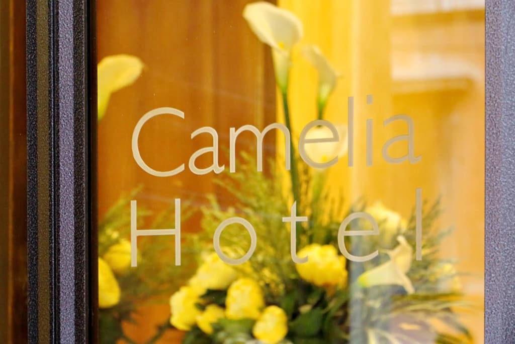 Сamelia Hotel - photo 44