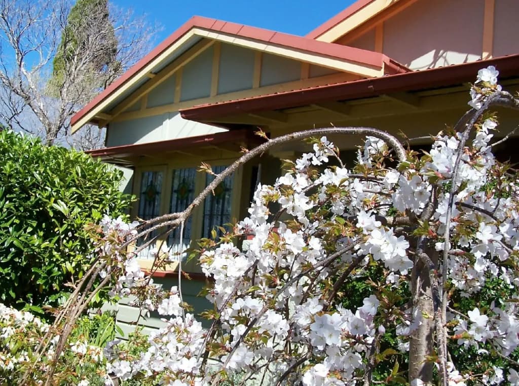 Shelton-Lea B&B - photo 16