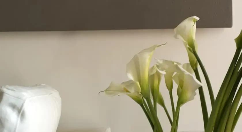 San Carlo Executive Apartment - photo 5