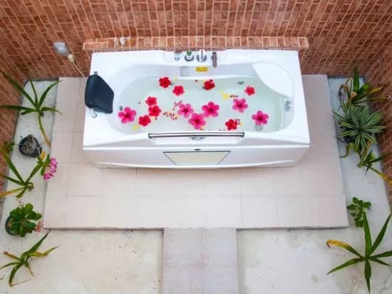 Askani Thulusdhoo Guesthouse - photo 5