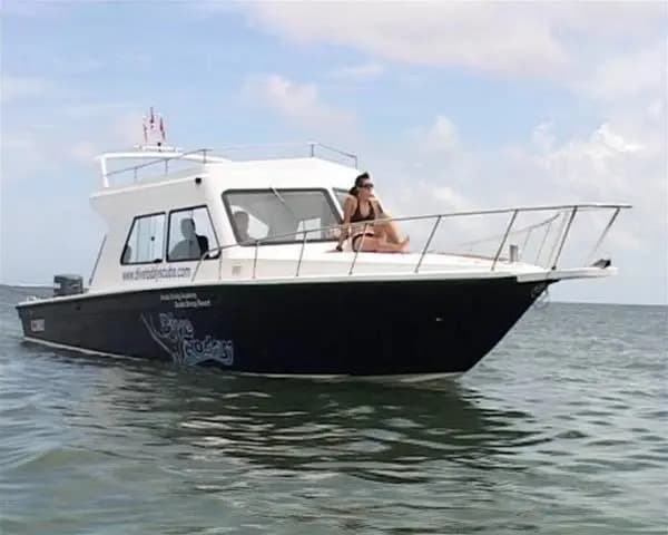 Dive Today Resort - photo 10